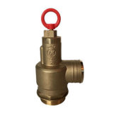 Pressure Relief Valve 8