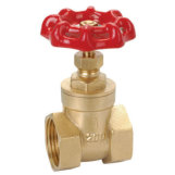 Gate Valve 1