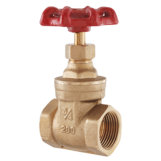 Gate Valve 3/4